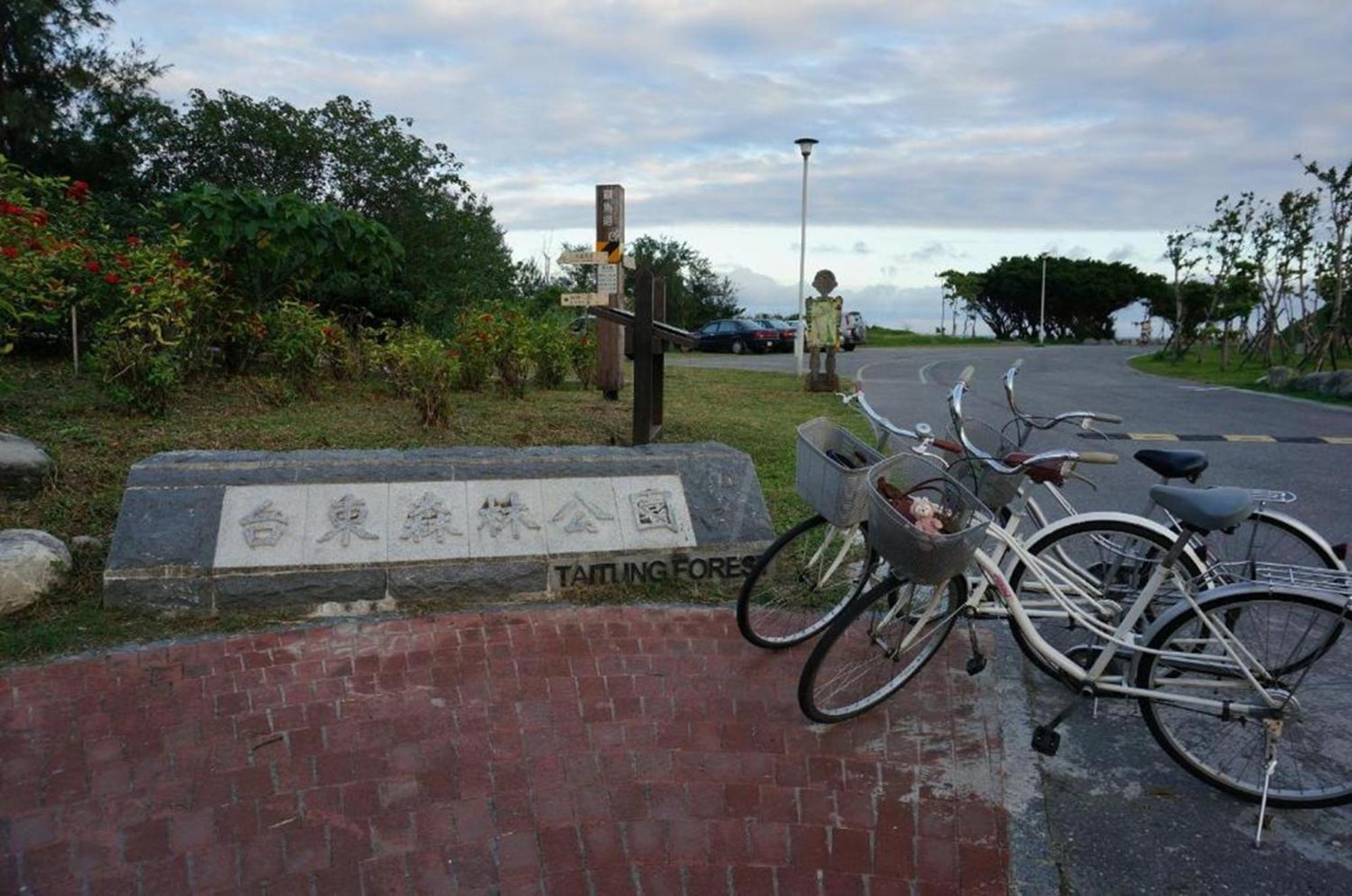 Taitung 自由之丘民宿 L 寵物友善 מראה חיצוני תמונה